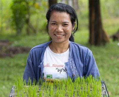 Dokeo Sayamoungkhoun, a Lao rice farmer holds up tray of rice plants – photo by SuePrice