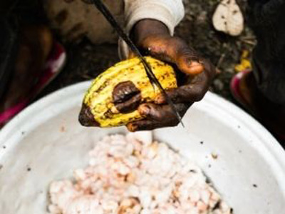 End Child Labor in Cocoa