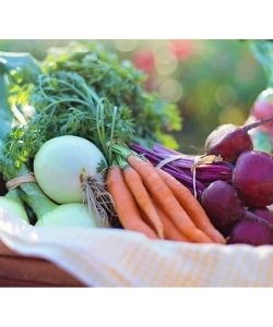  Local Harvest CSA - Product Picks Issue 20