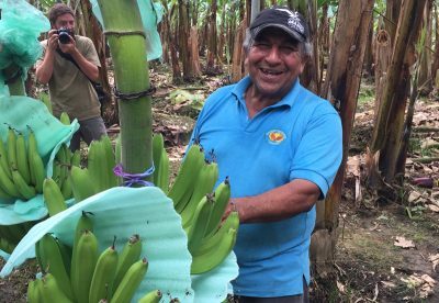 Small Scale Farmer Don Hugo Shows off his Banana Harvest