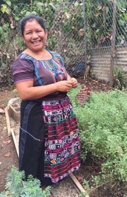 "Dorotea, a Mayan Woman shows off the herbal garden - Flor Juanera Coop