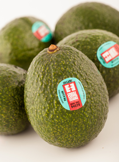 Equal Exchange Fair Trade Organic Avocados