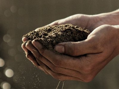 Hands with soil - Gabriel Jimenez