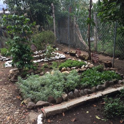 Herbal Garden in Guatemala