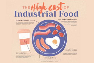 the Cost of Industrial Agriculture Fact Sheet