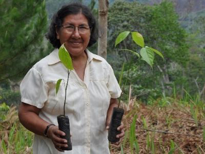Photo of Esperanza Dionisio Castillo with coffee saplings