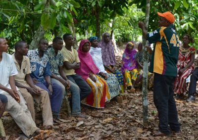 Fairtrade Deutschland - photo of ECOKIM Union Members in Côte d’Ivoire