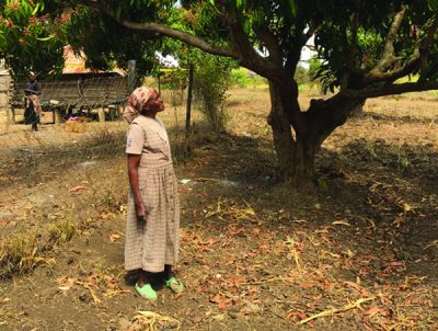 Equal land rights for women can reduce Food Insecurity in Kenya