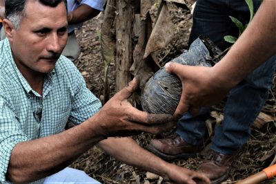 Planting Trees - photo by Coop-Coffee's