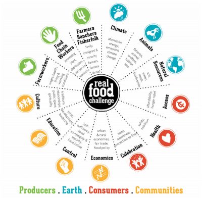 Diagram of the Real Food Wheel