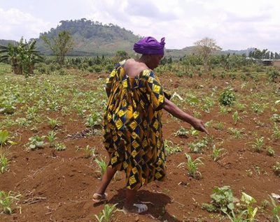 Sowing Seeds