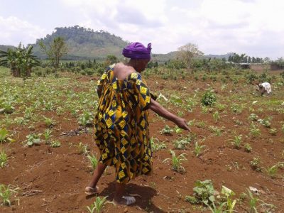 Small Scale Farmer - Keeping the Struggles of Peasant Women Alive