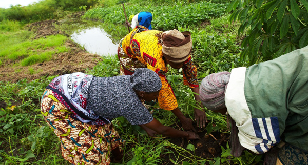 Smallholders Photo Credit: Morgana Wingard