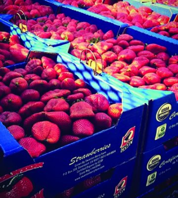 SWANTON BERRY FARMS ORGANIC STRAWBERRIES - Issue 18 Product Pick