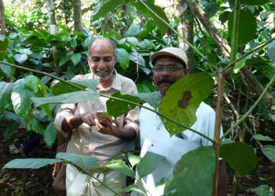 Tomy Mathew of Fair Trade Alliance, Kerala, India