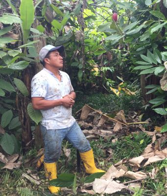 Wilmer, a small scale fair trade farmer in Ecuador