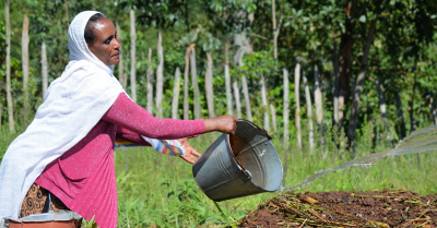 Fair Trade Farmer Practicing Regenerative Agriculture - Ethiopia Coop Coffees